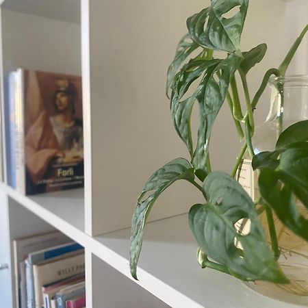 Bnb36 Forlì Eksteriør billede
